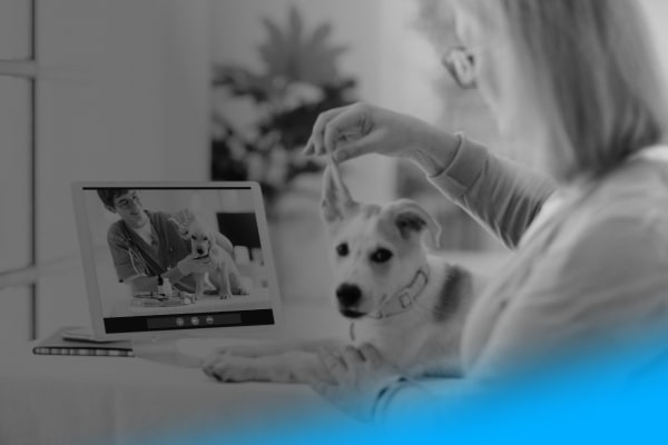 Veterinary-Telehealth